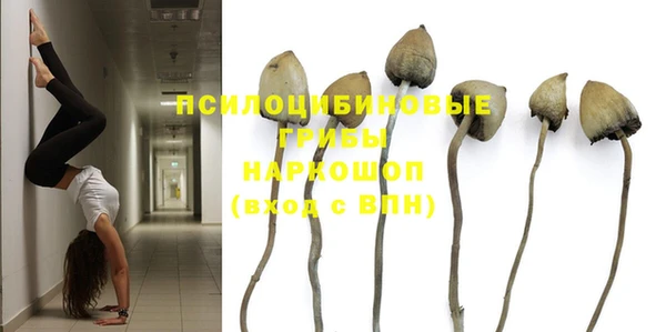 бутират Аркадак