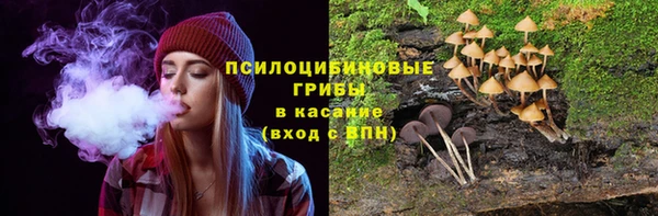 спиды Армянск