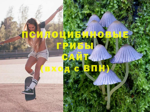 спиды Армянск