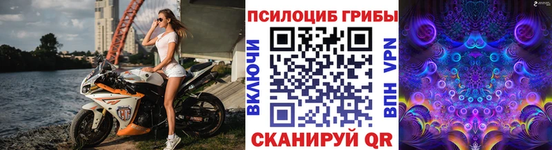 купить наркотик  Мончегорск  Псилоцибиновые грибы мухоморы 